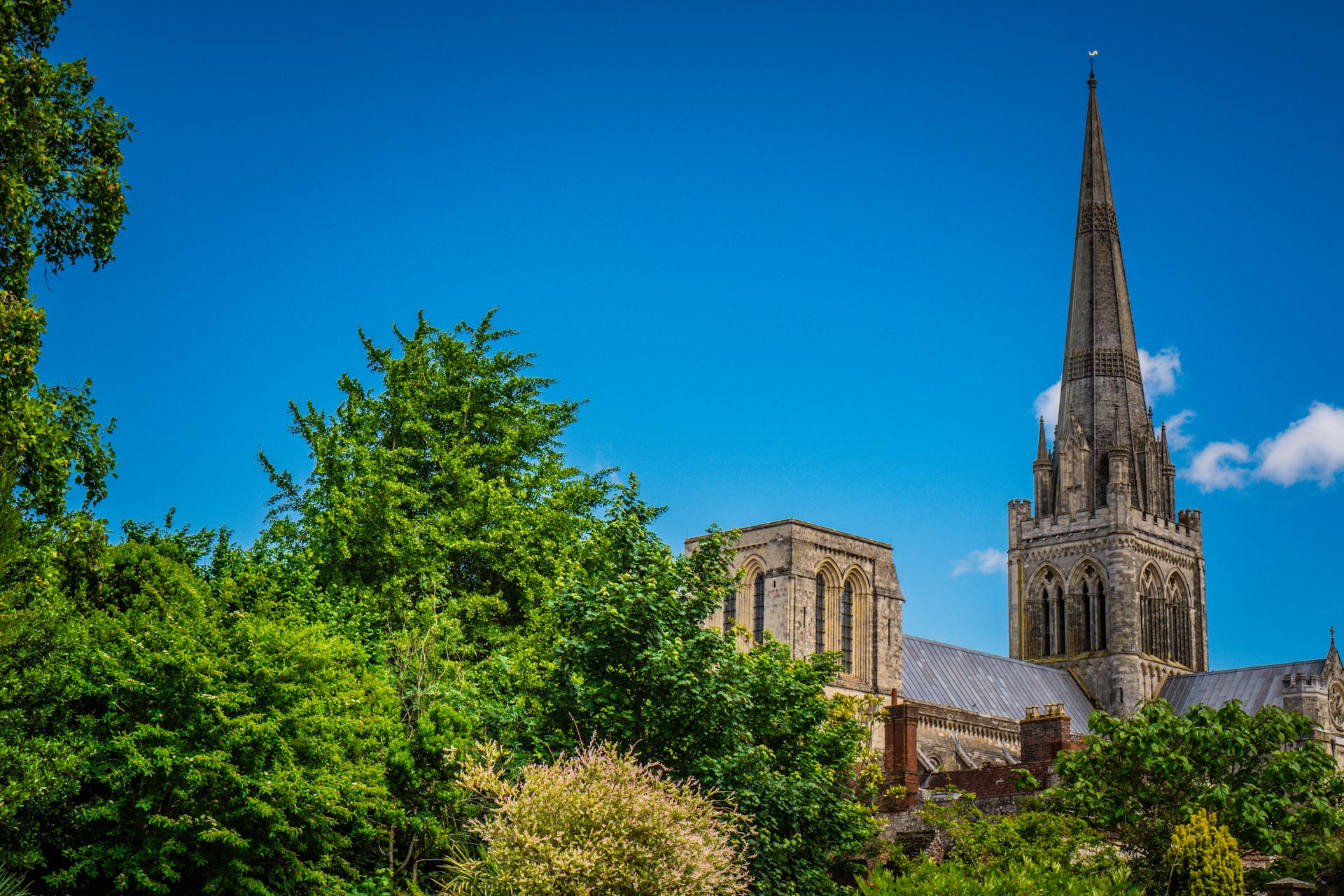chichester View of Chichester Cathedral rising above lush greenery under a clear blue sky – representing Force One Homes' expert building services in Chichester, including new builds, extensions, loft conversions, and bespoke renovations.